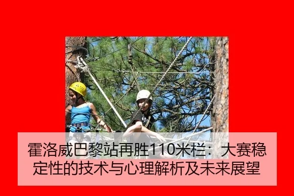 霍洛威巴黎站再胜110米栏：大赛稳定性的技术与心理解析及未来展望