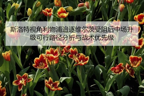 斯洛特视角利物浦追逐维尔茨受阻后中场升级可行路径分析与战术优先级