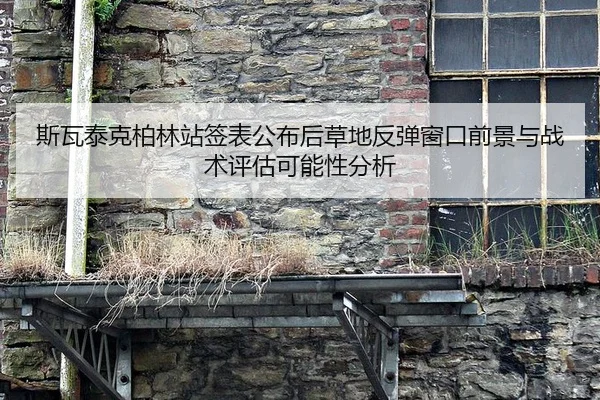 si-wa-tai-ke-bo-lin-zhan-qian-biao-gong-bu-hou-cao-di-fan-tan-chuang-kou-qian-jing-yu-zhan-shu-ping-gu-ke-neng-xing-fen-2-581.jpg