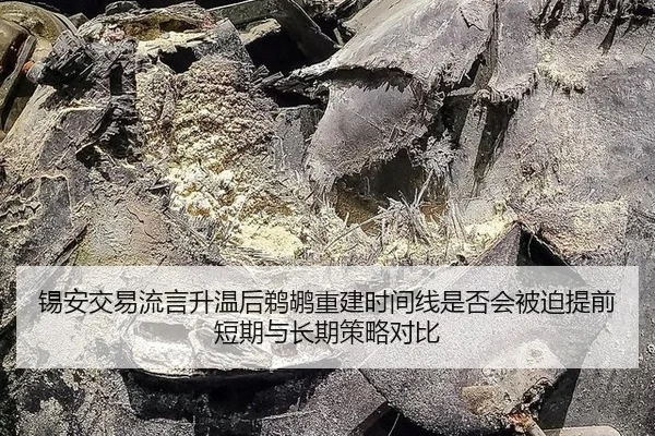 锡安交易流言升温后鹈鹕重建时间线是否会被迫提前短期与长期策略对比